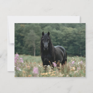 Friesian Horse in a Wildblomma Fält Vykort