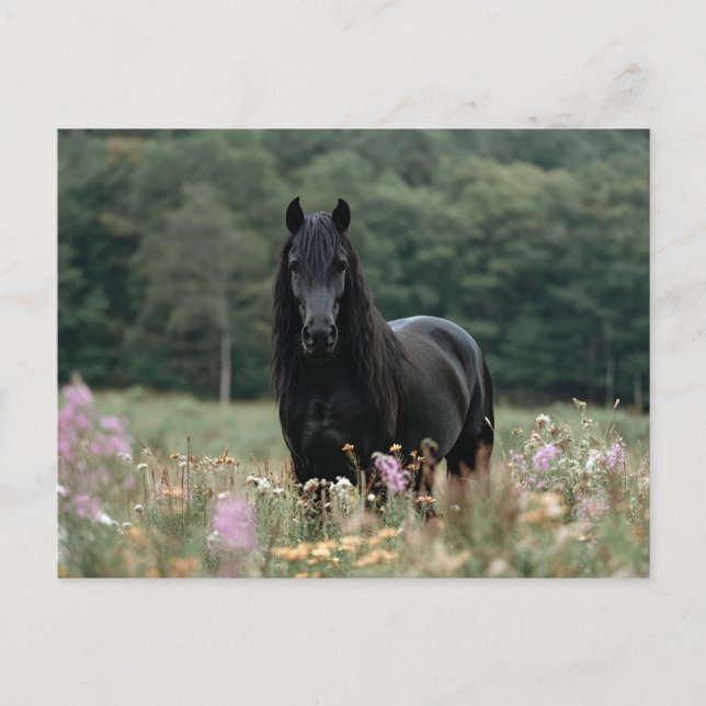 Friesian Horse in a Wildblomma Fält Vykort (Framsida)