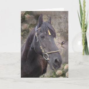 Friesian Horse Porträtt - hälsningskort Tack Kort