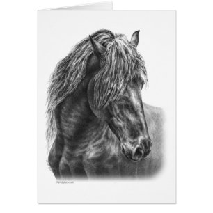 Friesian Horse Porträtt Vågigt Mane Hälsningskort