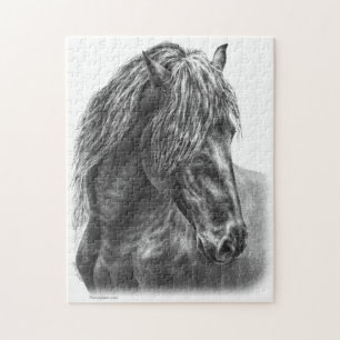 Friesian Horse Porträtt Vågigt Mane Pussel