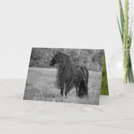 Friesian Horse See - Horse Greeting Card Kort