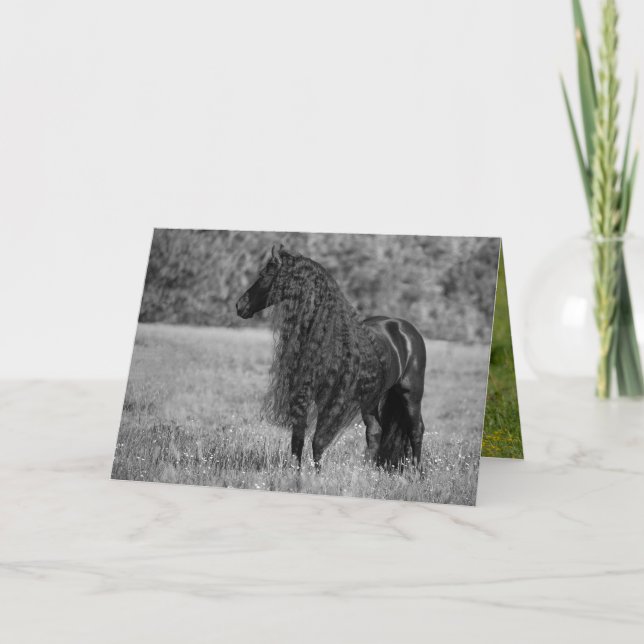 Friesian Horse See - Horse Greeting Card Kort (Framsida)