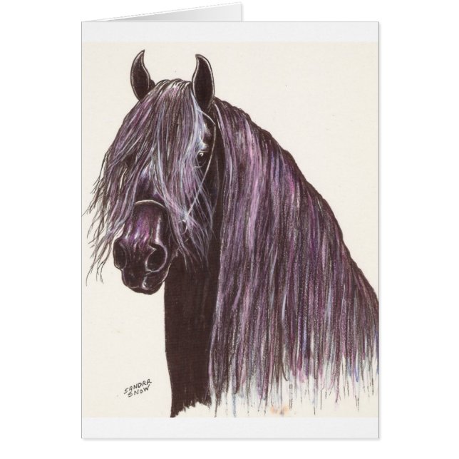 Friesian Horse Study Hälsningskort (Framsidan)