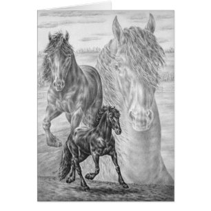 Friesian Horse Teckning av Kelli Svan Hälsningskort