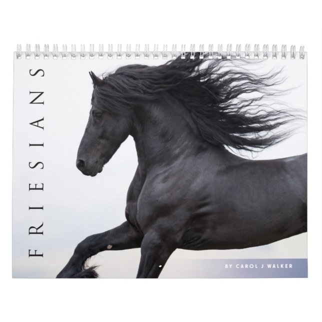 Friesian Horses Calendar Kalender (Omslag)