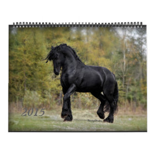 Friesian och häst 2015 kalender