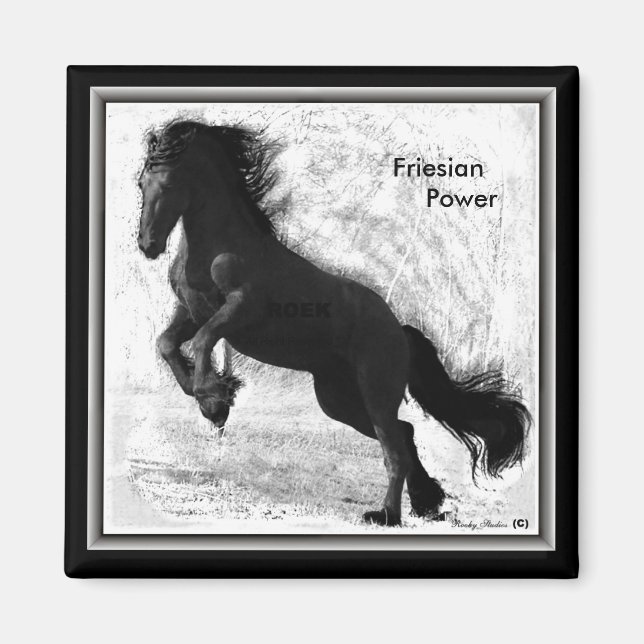 Friesian Power Magnet 2 (Framsidan)