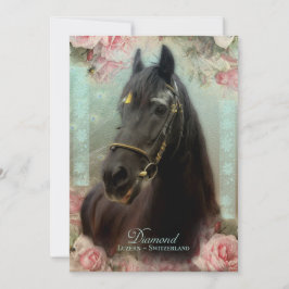 Friesian Stallion DIAMOND - gratulationskort Tack Kort