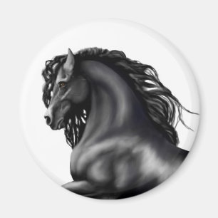 Friesian Stallion Häst Magnet