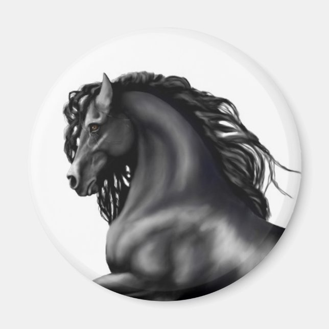 Friesian Stallion Häst Magnet (Framsidan)