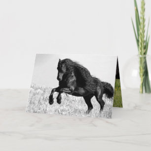 Friesian Stallion Leaps - Horse Greeting Card Kort