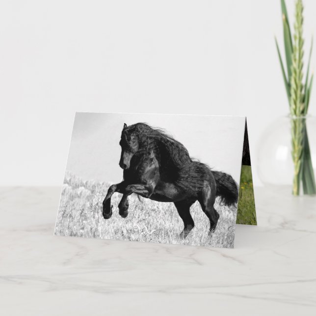 Friesian Stallion Leaps - Horse Greeting Card Kort (Framsida)