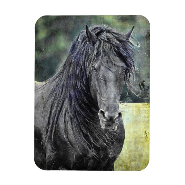 Friesian Stallion Magnet (Vertikal)