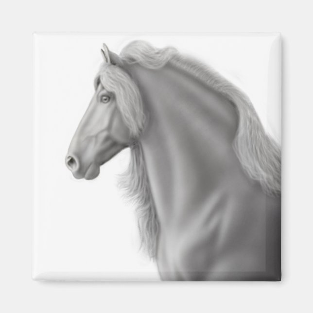 Friesian Stallion Magnet (Framsidan)