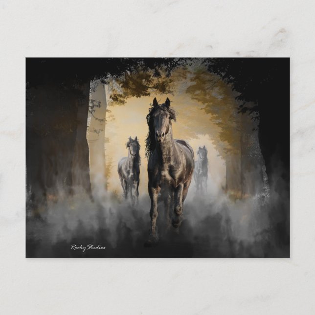 Friesian Tre Vykort (Framsida)