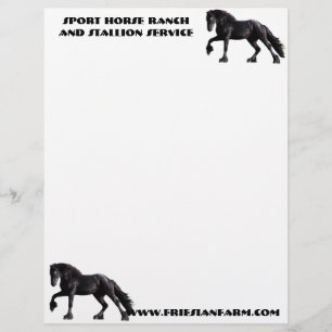 FriesianColt Brevhuvud