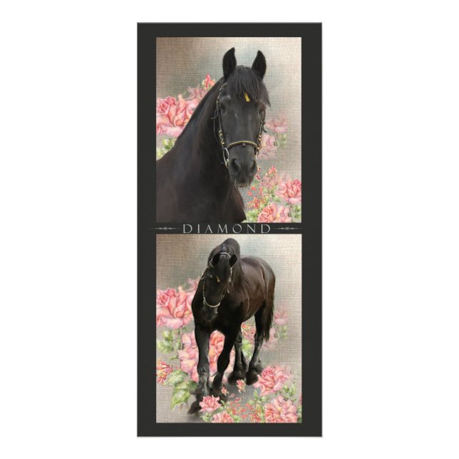 FriesianDIAMANT - kugge/vykort Reklamkort (Framsidan)
