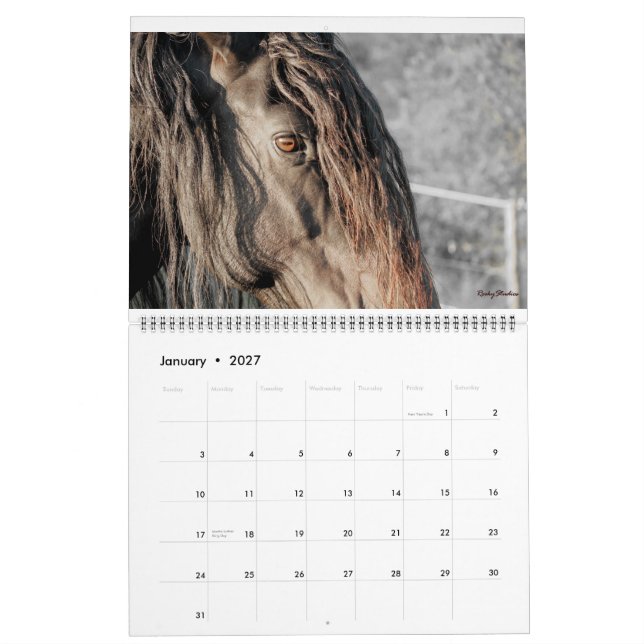 Friesianen befjädrar 2015 kalender (Jan 2027)