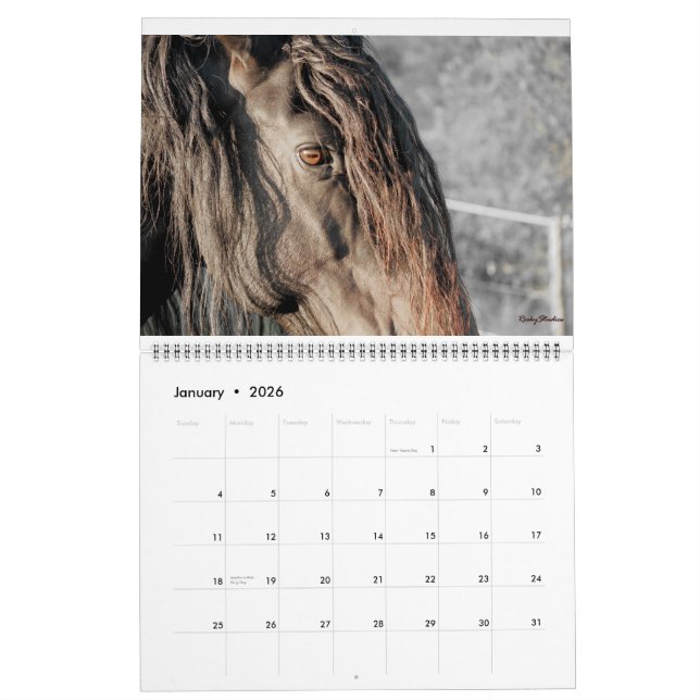 Friesianen befjädrar 2015 kalender (Jan 2026)