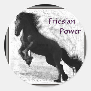 Friesianen driver klistermärkear runt klistermärke