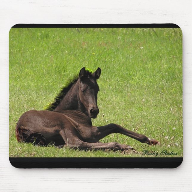 Friesianfölmousepad Musmatta (Framsidan)