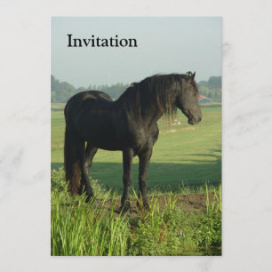 Friesianhäst Inbjudningar