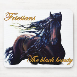 Friesianhäst Musmatta