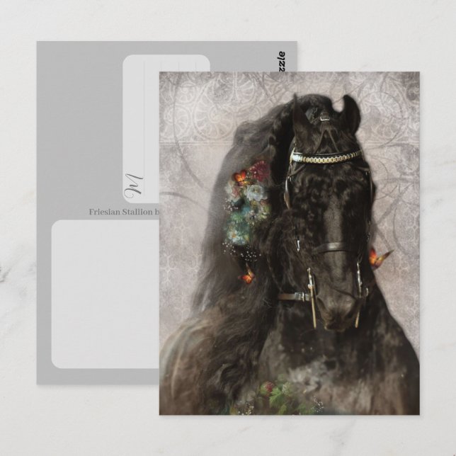 Friesianhäst - vykort (Fram/baksida)