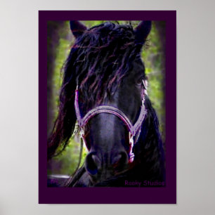Friesianhästaffisch Poster