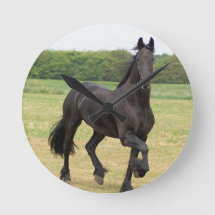 Friesianhästen tar tid på rund klocka