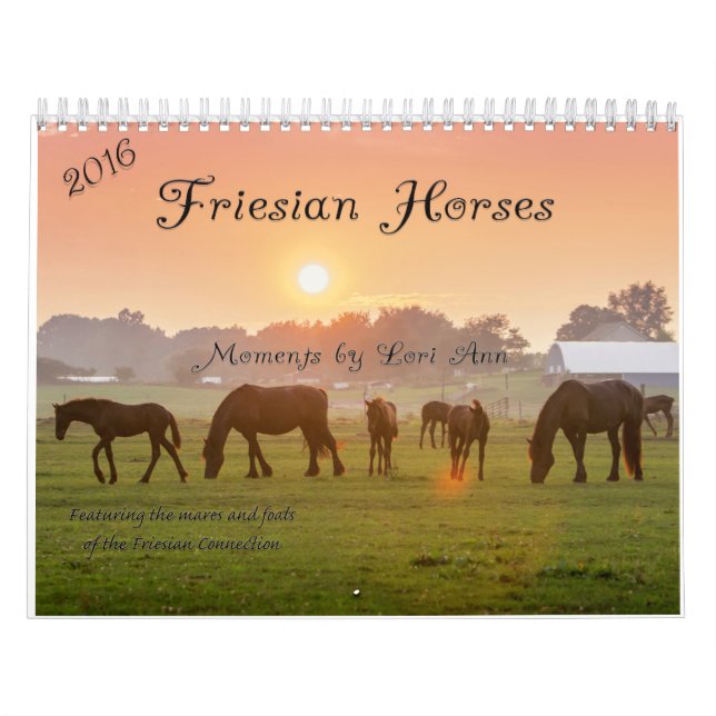 Friesianhästkalender Kalender (Omslag)