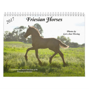 Friesianhästkalender Kalender