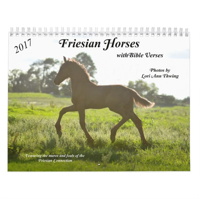 Friesianhästkalender med bibelVerses Kalender (Omslag)