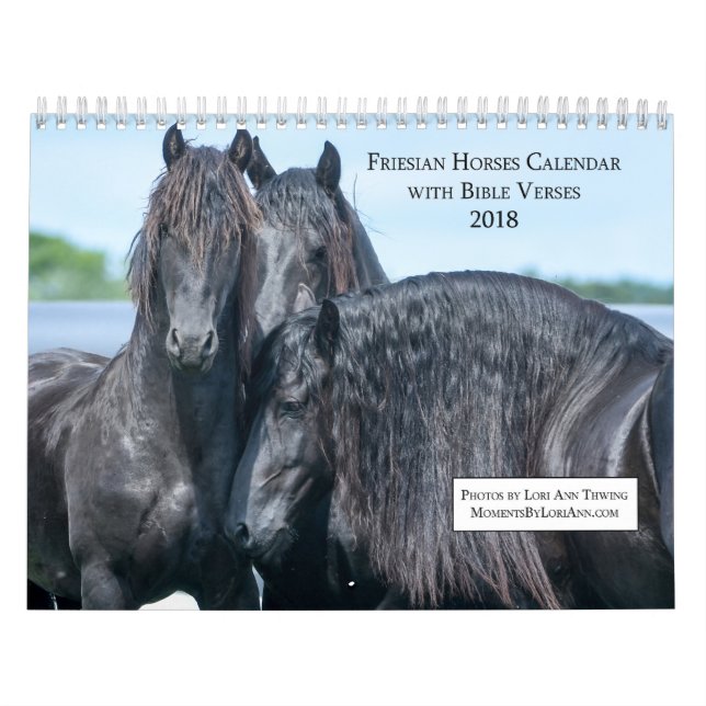 Friesianhästkalender med bibelVerses Kalender (Omslag)