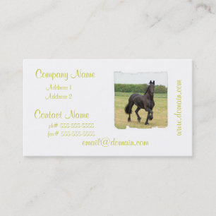 Friesianhästvisitkortar Visitkort