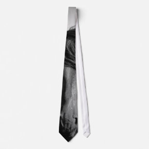 Friesianhingst i wind.en slips