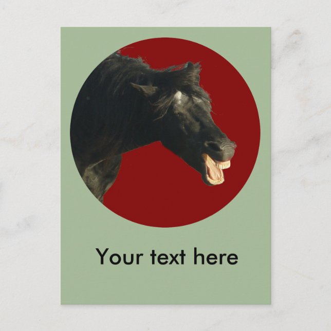 FriesianJoker#1 Vykort (Framsida)