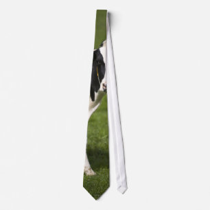 Friesianko Slips