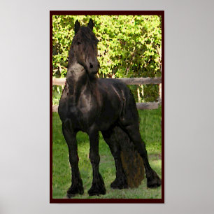 Friesianmålningtryck Poster