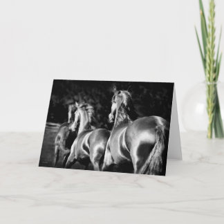 Friesianmareskort Kort