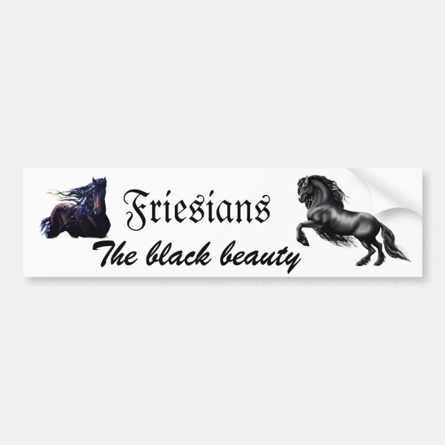 Friesians Bildekal (Framsidan)