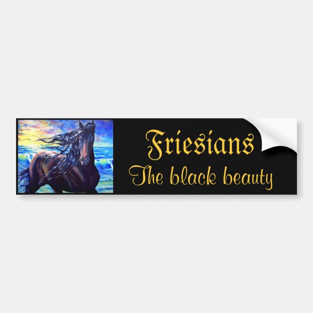 Friesians den svart skönheten bildekal (Framsidan)
