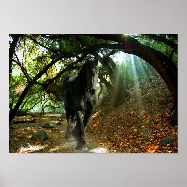 Friesisk DIAMOND IV - Poster (Framsidan)