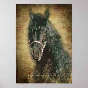 Friesisk DIAMOND - Poster