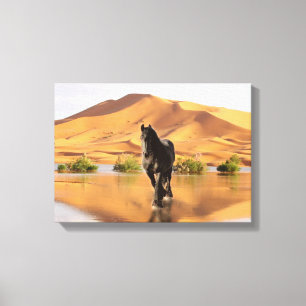 Friesisk DIAMOND V - Wrapped Canvas