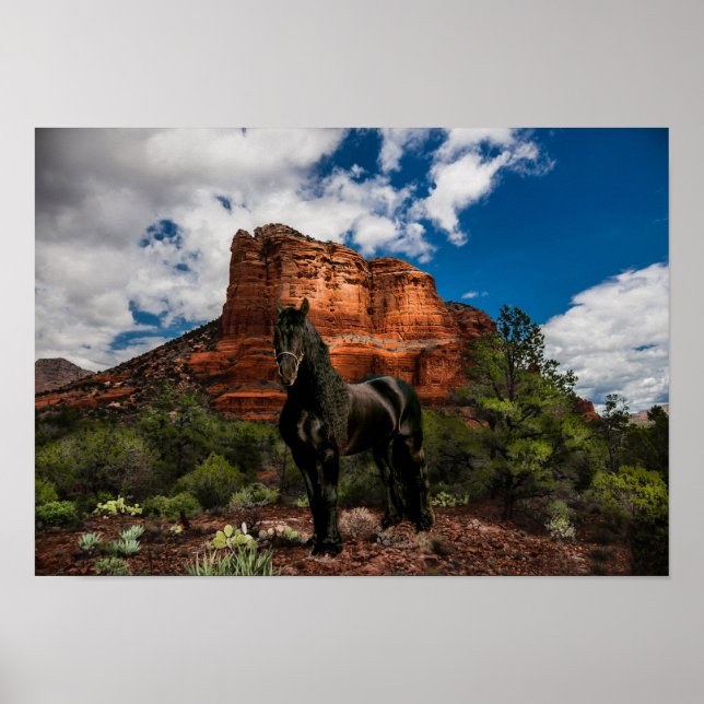 Friesisk DIAMOND VI - Poster (Framsidan)