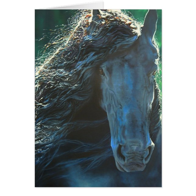 Friesisk häst, svart hingst OBS kort (Framsidan)