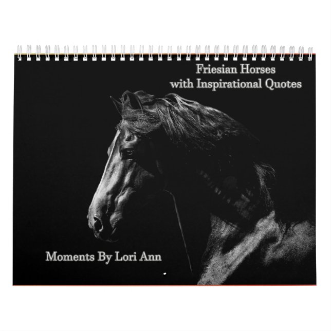 Friesisk hästinspirationskalender kalender (Omslag)