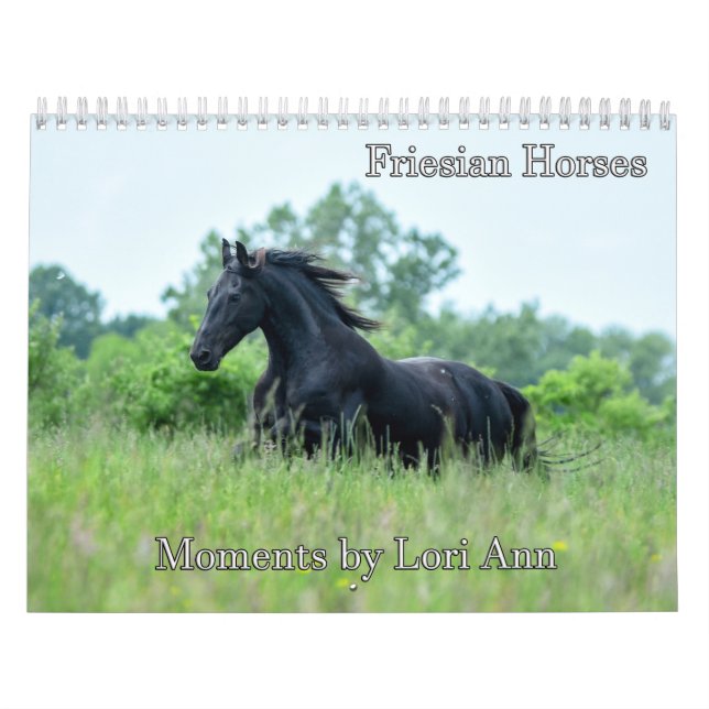 Friesisk hästkalender av Lori Ann Kalender (Omslag)